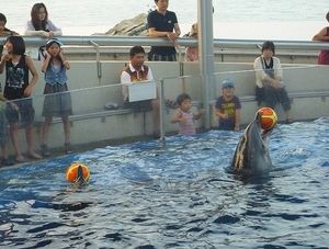 2010082402531579667.jpg