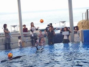 2010082402533692170.jpg