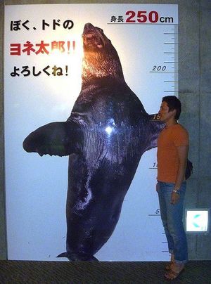 2010082402542076960.jpg