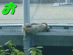 2010082402550897018.jpg