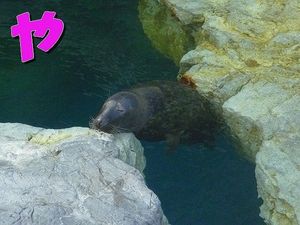 2010082402552988945.jpg