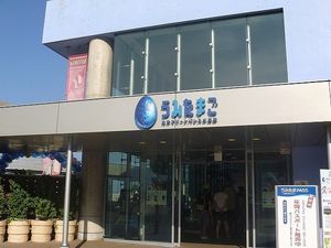 2010082402591890468.jpg