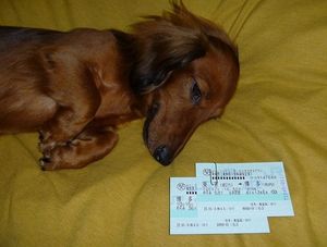2010101303245426303.jpg