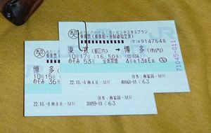 2010101303254320374.jpg