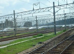 2010111202441991638.jpg