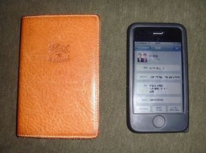 2011010623452179347.jpg