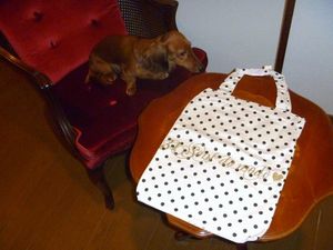 2011022203323450341.jpg
