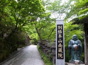 2011050904375286218.jpg