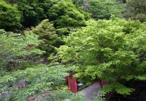 2011050904381381704.jpg