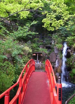 2011050904384094076.jpg
