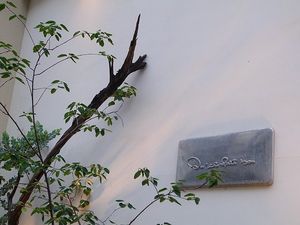 2011062103171116246.jpg