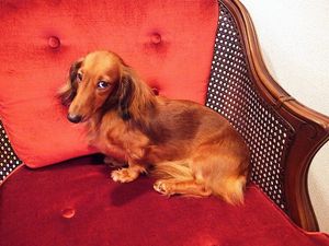 2011110513451645710.jpg