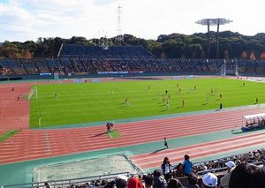 2011112501083127449.jpg