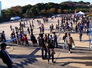 2011112501104082842.jpg