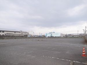 2012012513143315453.jpg