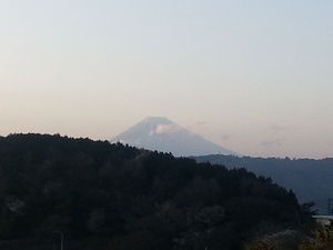 2013033115053255193.jpg