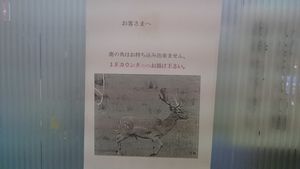 2015052513034578960.jpg