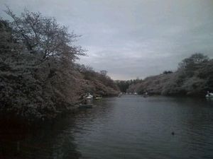 2010040512530290842.jpg