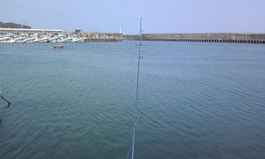 2010050522235327115.jpg