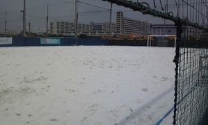 2010070112314621023.jpg