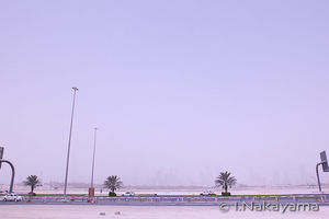 2012052502050625803.jpg
