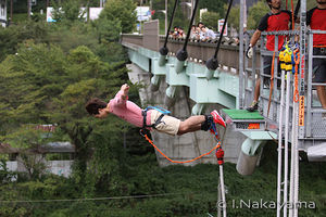 2012091816591842600.jpg