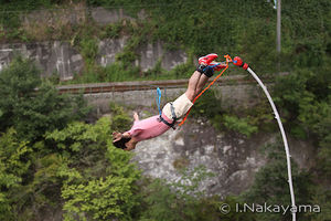 2012091817025916923.jpg