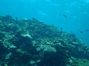2013091101422812089.jpg